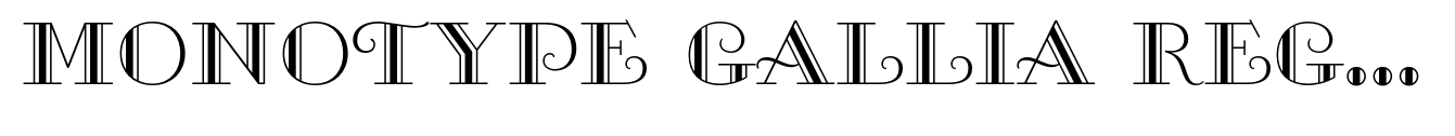 Monotype Gallia Regular image